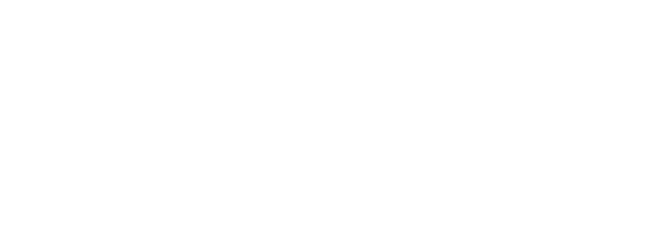 Trans-Web Logo